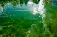 algae_pond
