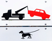 leashes