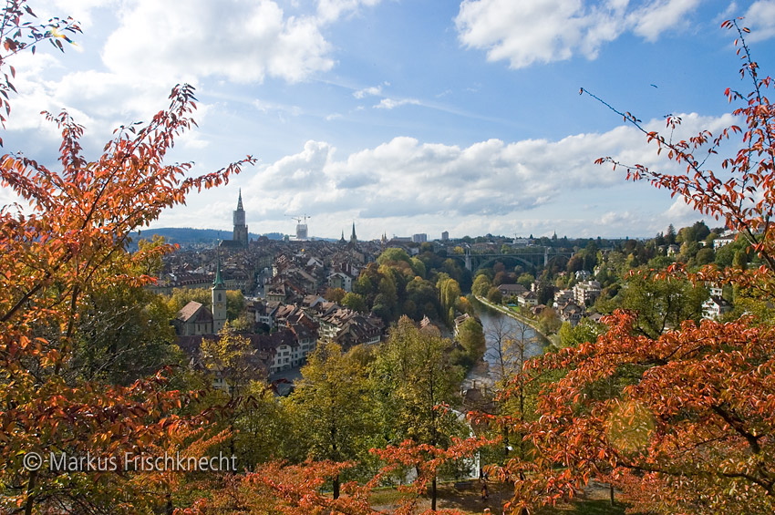 berne.jpg